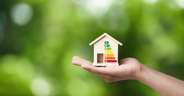 istockphoto-2119138994-612x612