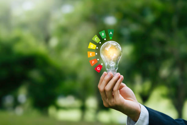 istockphoto-2161296382-612x612